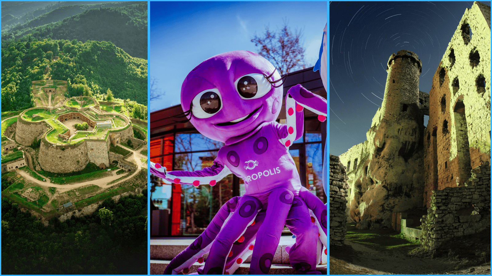 Polska Organizacja Turystyczna