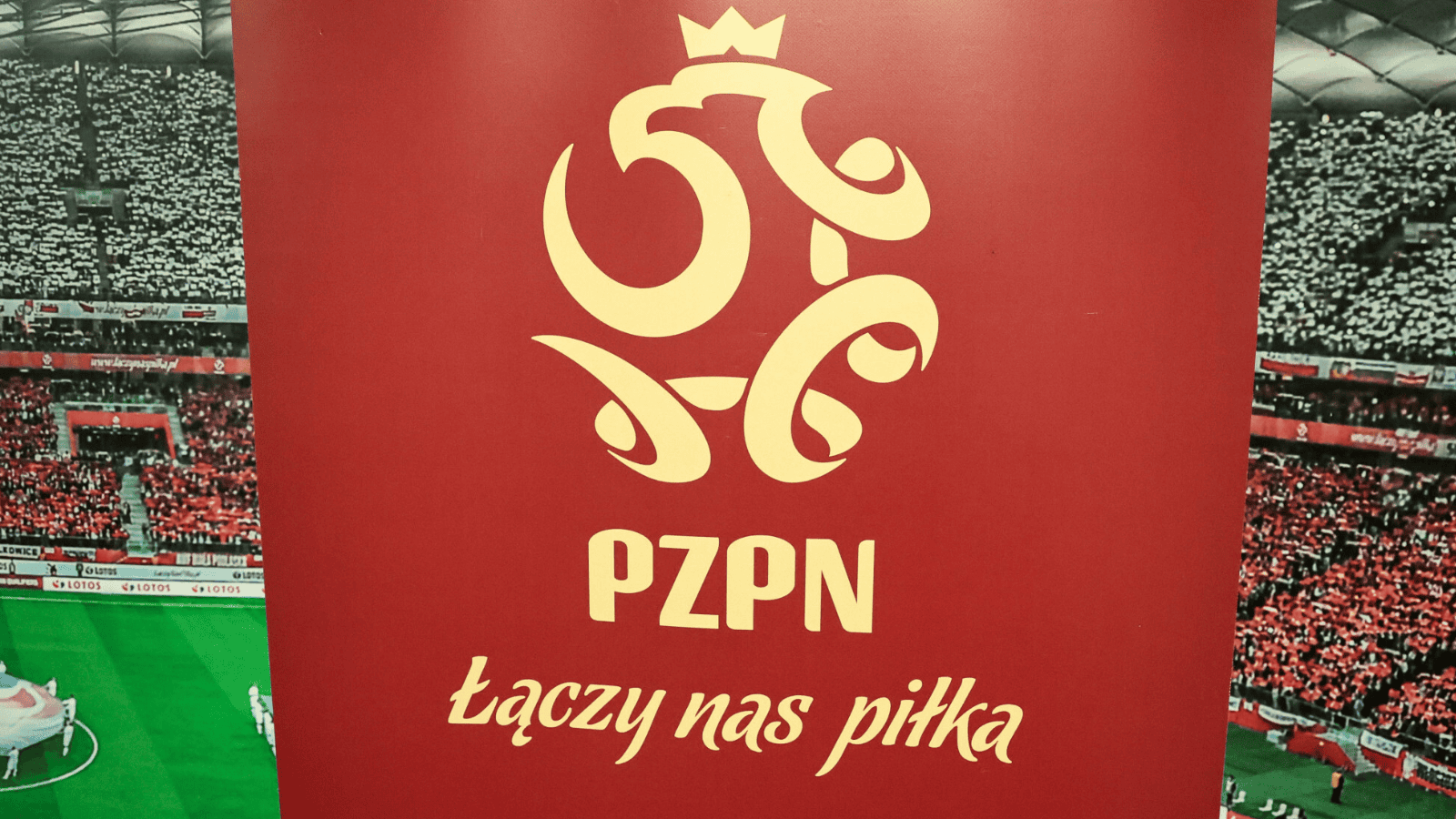 Komunikat PZPN ws. meczu Polska - Albania. Koniec nadziei