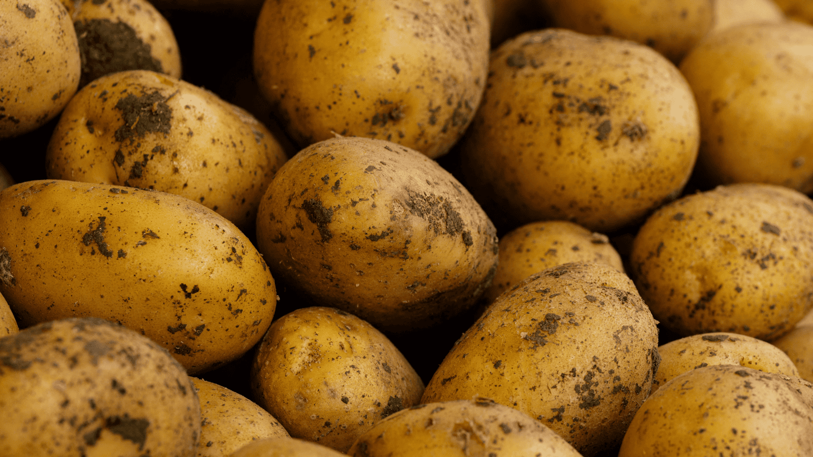 Gotuj tak makaron i ziemniaki, a Twój portfel Ci podziękuje. Polacy tracą fortunę przez jeden błąd