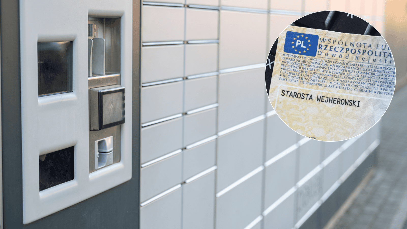 Magdalena  Fordymacka