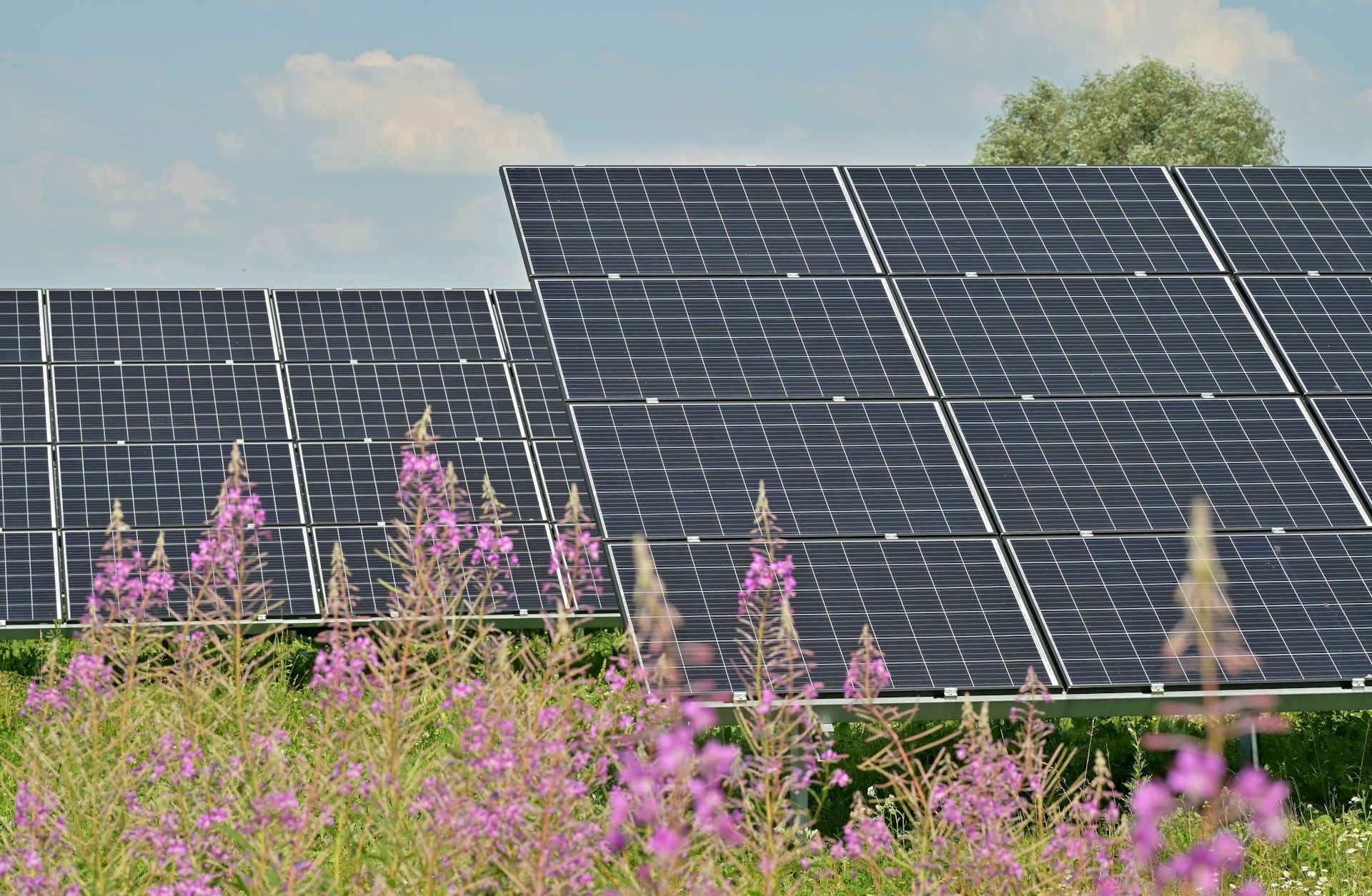 Panele solarne