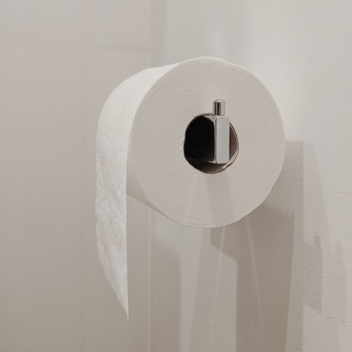 Papier toaletowy i lodówka.jpg