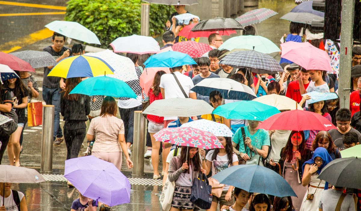 Ludzie z parasolkami