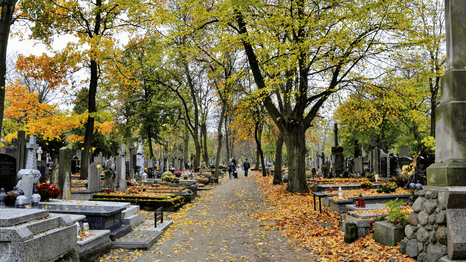 Wstęp na cmentarz w tej miejscowości jest płatny. Każdy musi kupić bilet, są też ulgowe