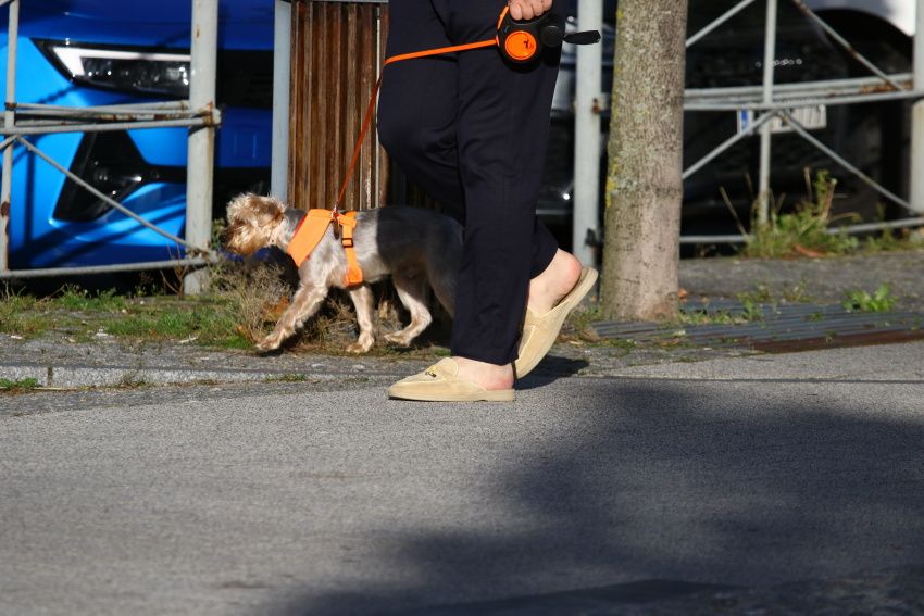 Katarzyna Niezgoda przyłapana przez paparazzi w zaskakującej stylizacji. Tak wygląda, jak myśli, że nikt nie widzi