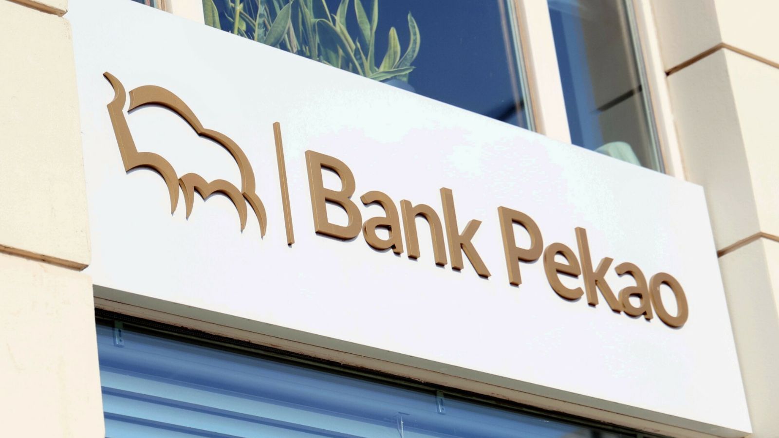 Jeden z największych banków w Polsce może zmienić nazwę. Prezes ujawnił powód