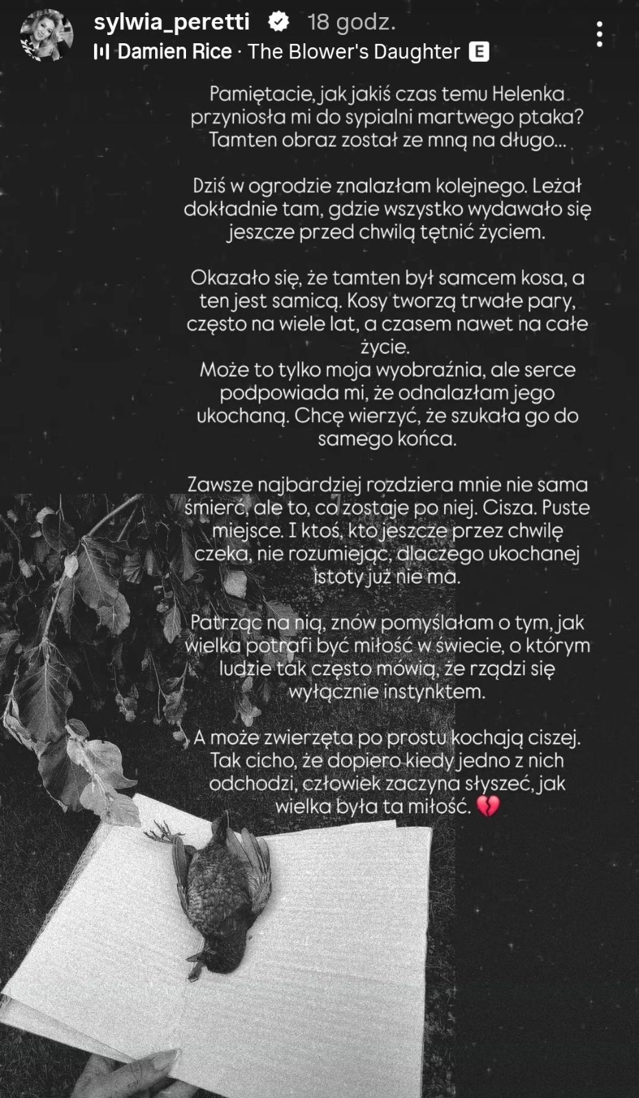 Sylwia Peretti poinformowała o śmierci. Ciężki czas u celebrytki nie ma końca