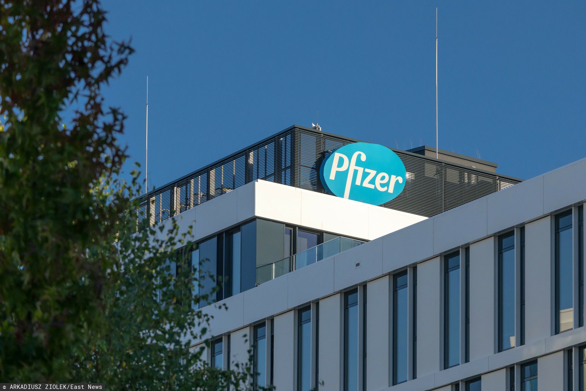 Polska przegrała z Pfizerem, do zapłaty miliardy. "Ten rachunek potencjalnie zapłaci każda polska rodzina"