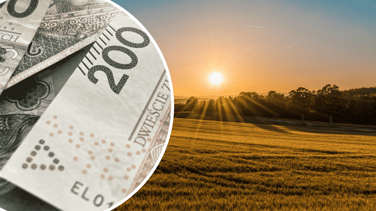 Pieniądze i pole