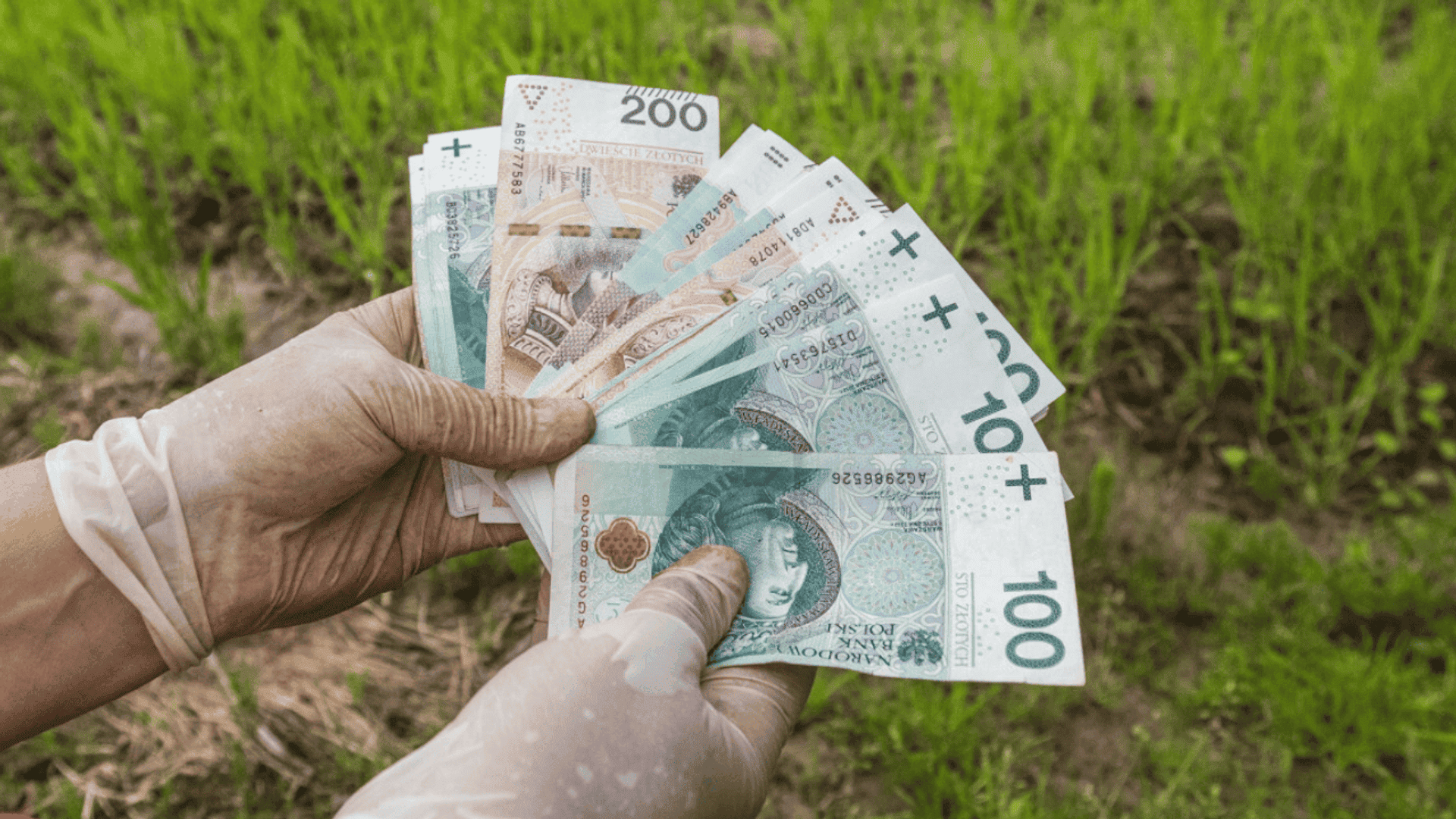 Ważny komunikat ministerstwa. Chodzi o KOWR i stawki za dzierżawę