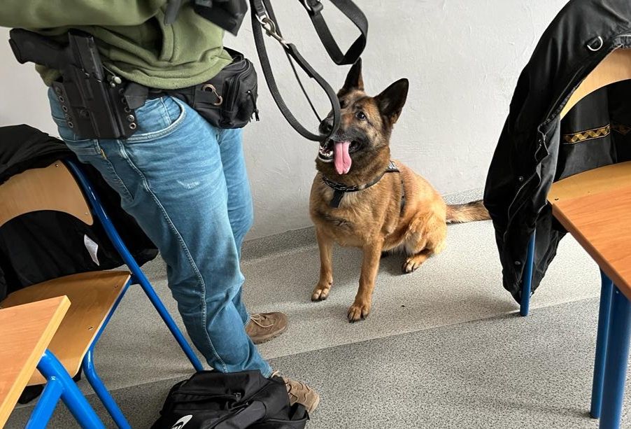 Pies policyjny Oława