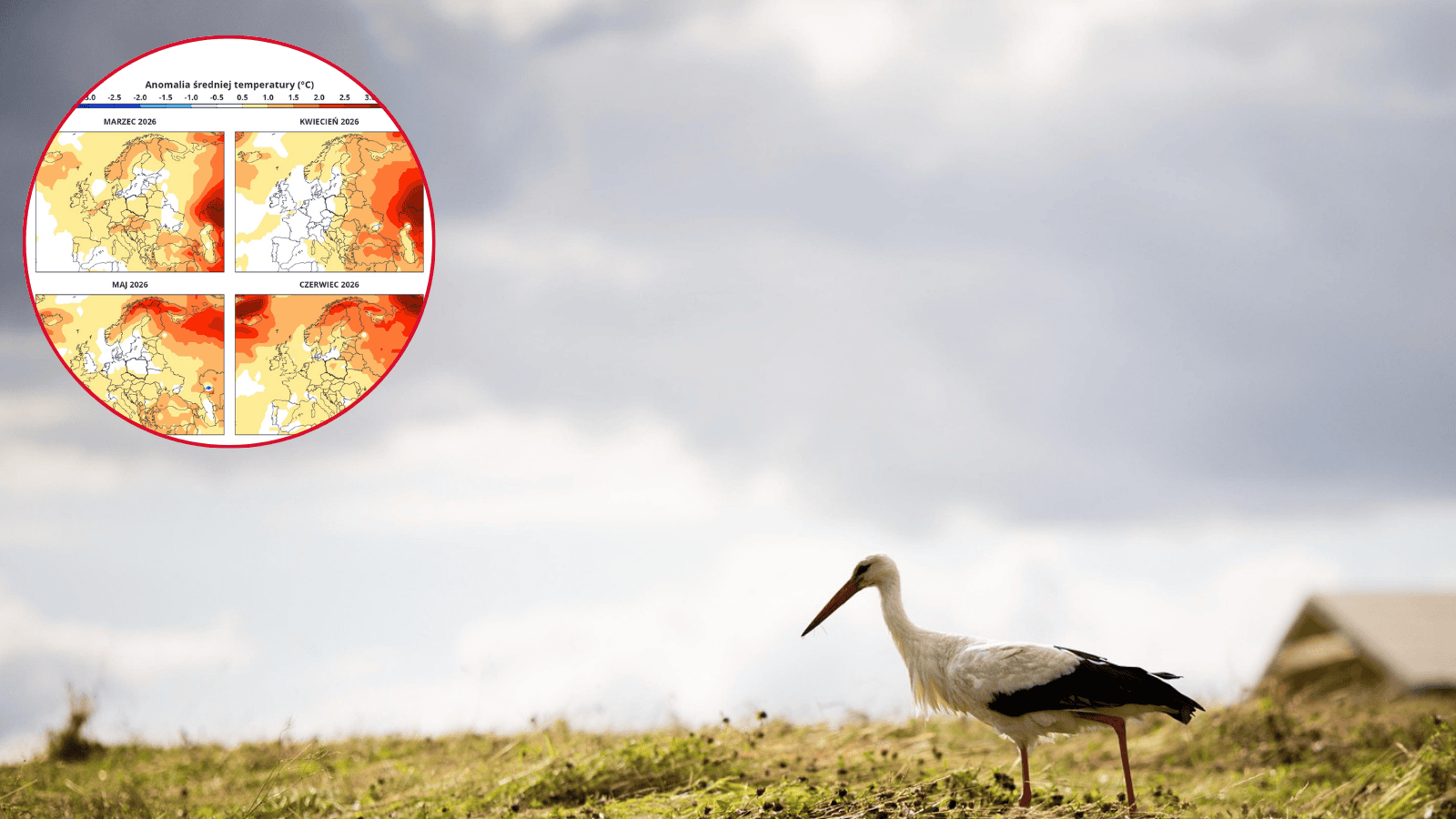 Taka będzie tegoroczna wiosna. Prognozy mówią jasno