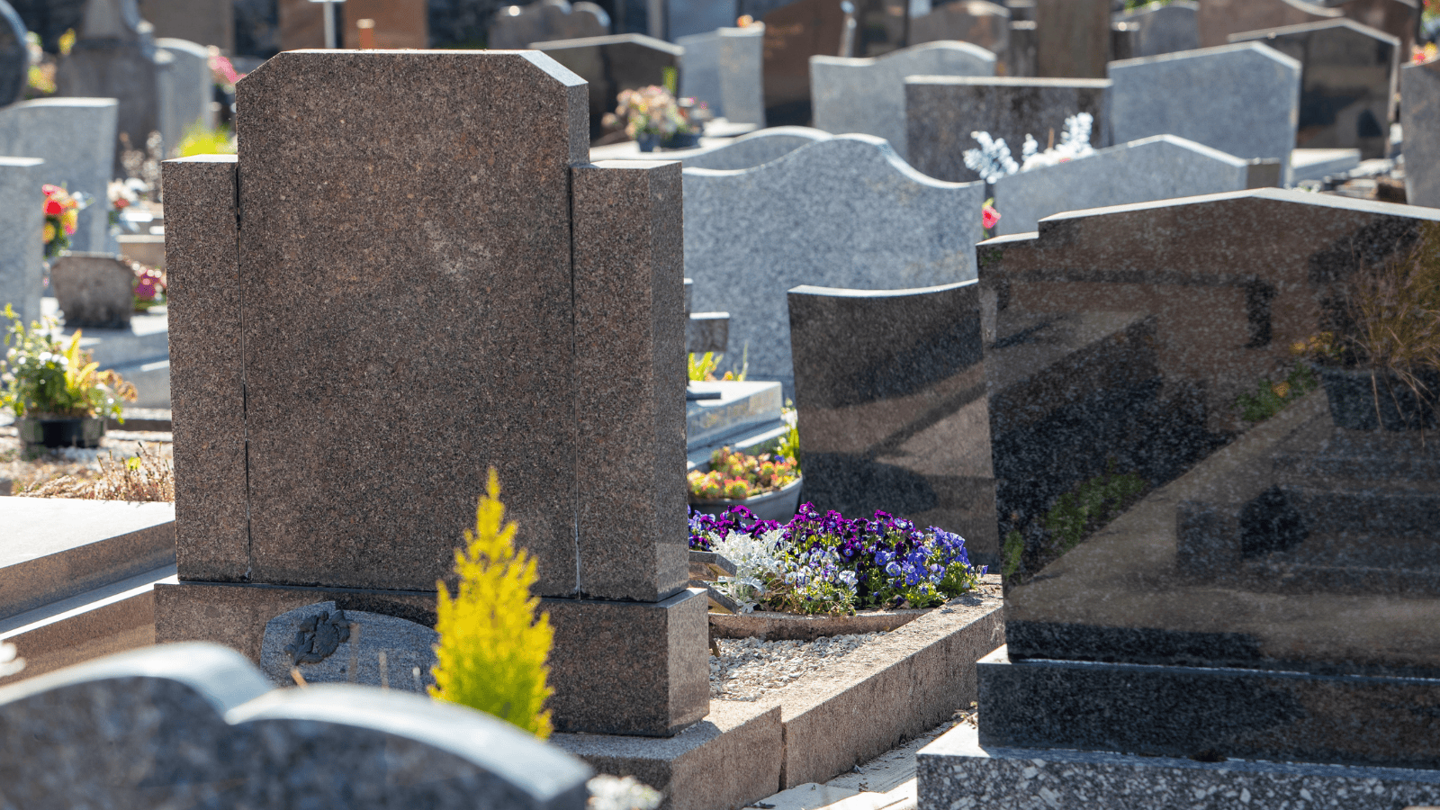 Przełom w prawie pogrzebowym: Prochy w ogrodzie i zwrot nienależnych opłat