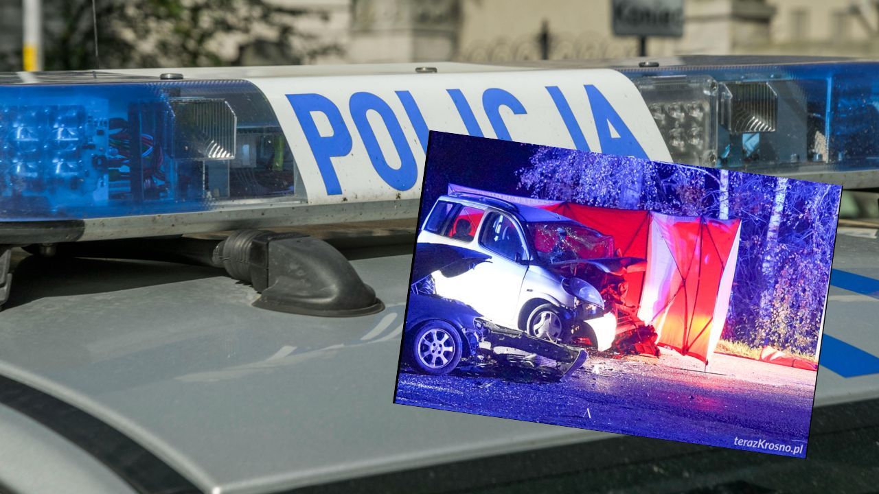 Nie żyje mężczyzna i pies, dwie osoby ranne. Tragedia w polskiej miejscowości