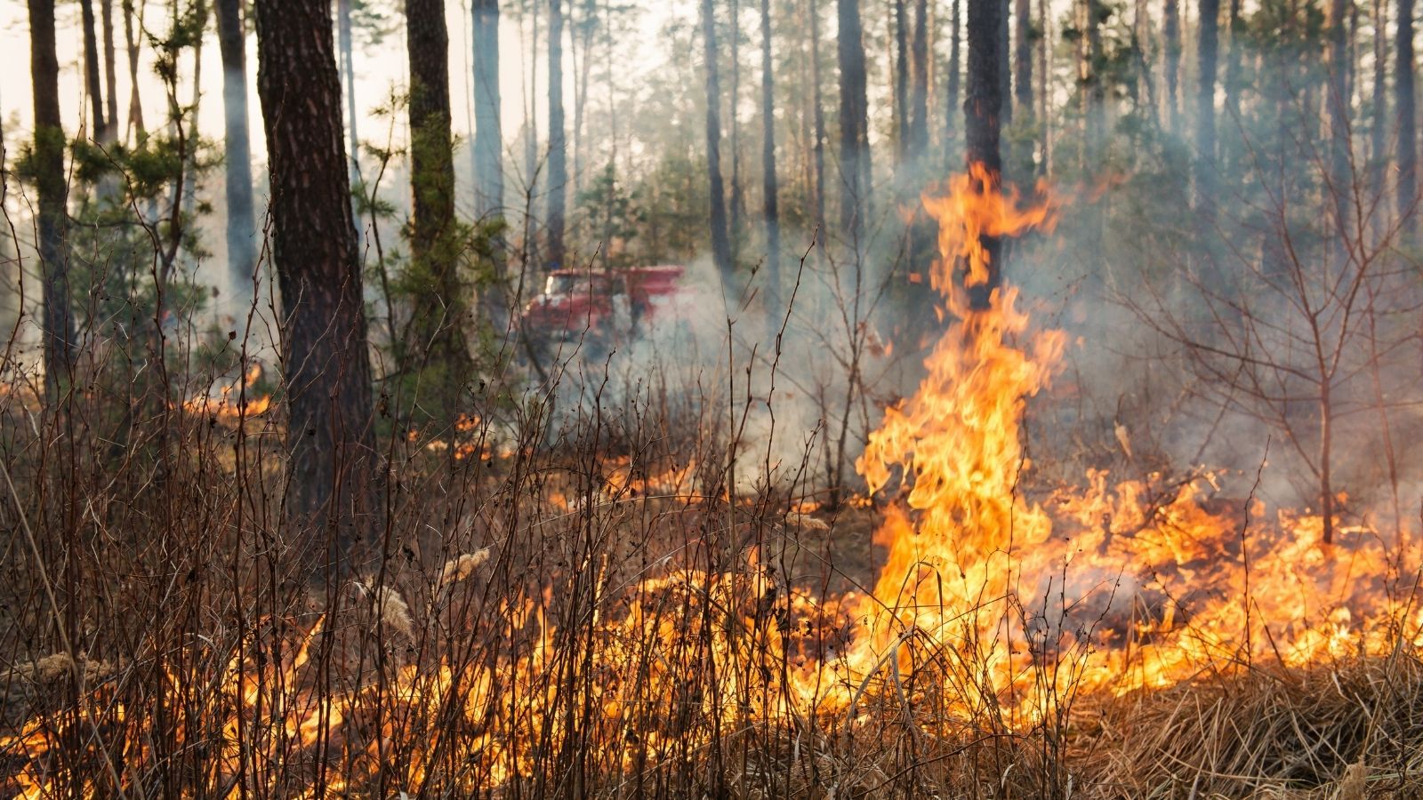 Pogoda, IMGW, pożar, alert