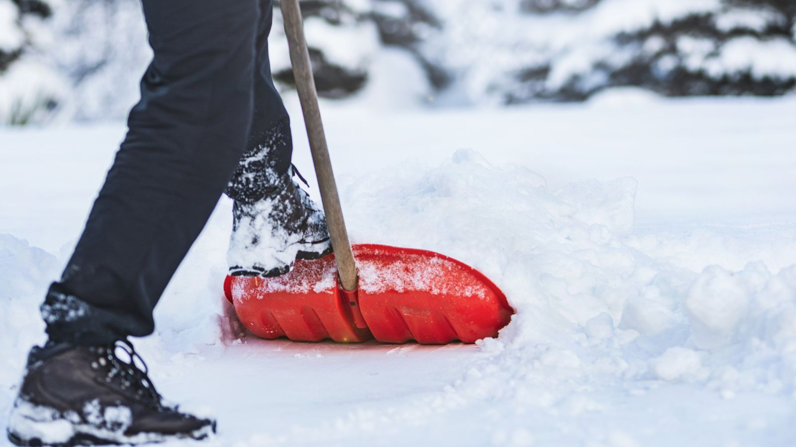 Pogoda styczeń 2026