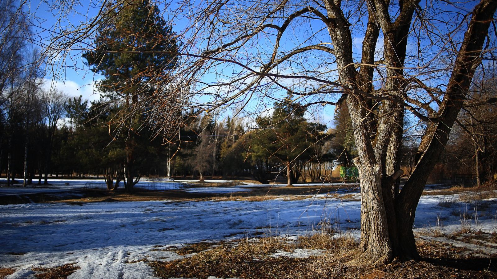 Wiadomo, kiedy będzie ciepło. Prognoza długoterminowa na początek 2026 r. już jest
