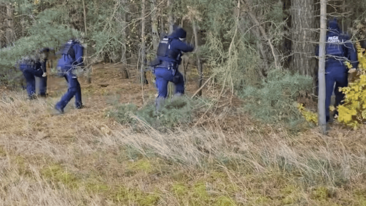 Poszedł na grzyby i już nie wrócił do domu. Tragedia w polskiej miejscowości, nie żyje 43-latek