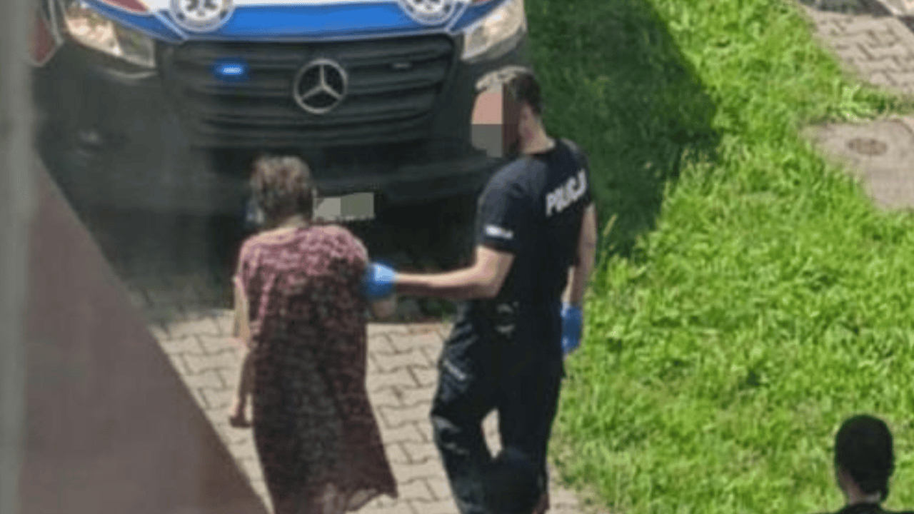 Policja, zatrzymanie
