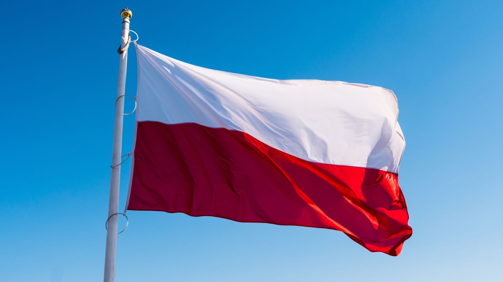 Polska flaga, święta, święto państwowe