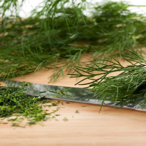 Żadnego suszenia, żadnej zamrażarki. Koperek zostanie świeży na długo dzięki tej prostej sztuczce