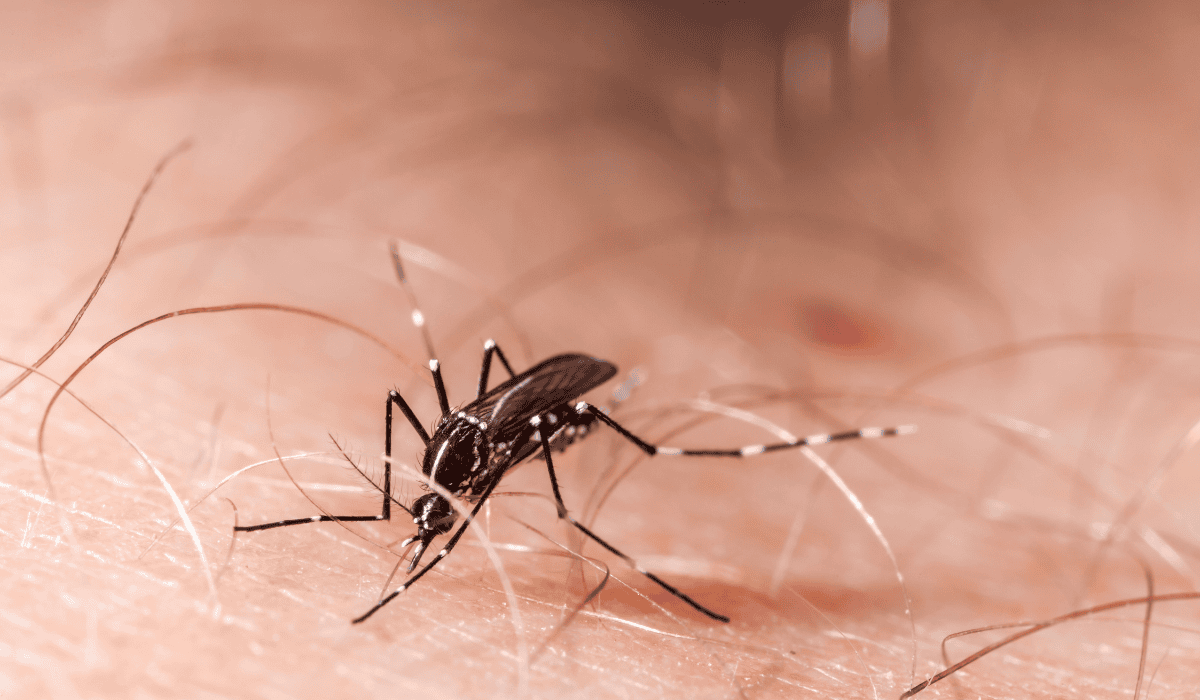 Groźna tropikalna choroba w krakowskim szpitalu. Dwóch nastolatków z silną gorączka