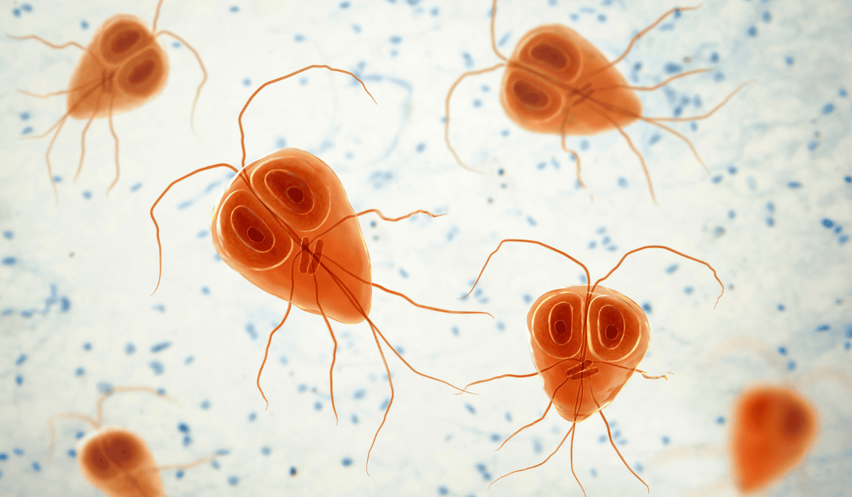 Wielkie odrobaczanie czy wielkie naciąganie? Cała prawda o „detoksie” z sieci