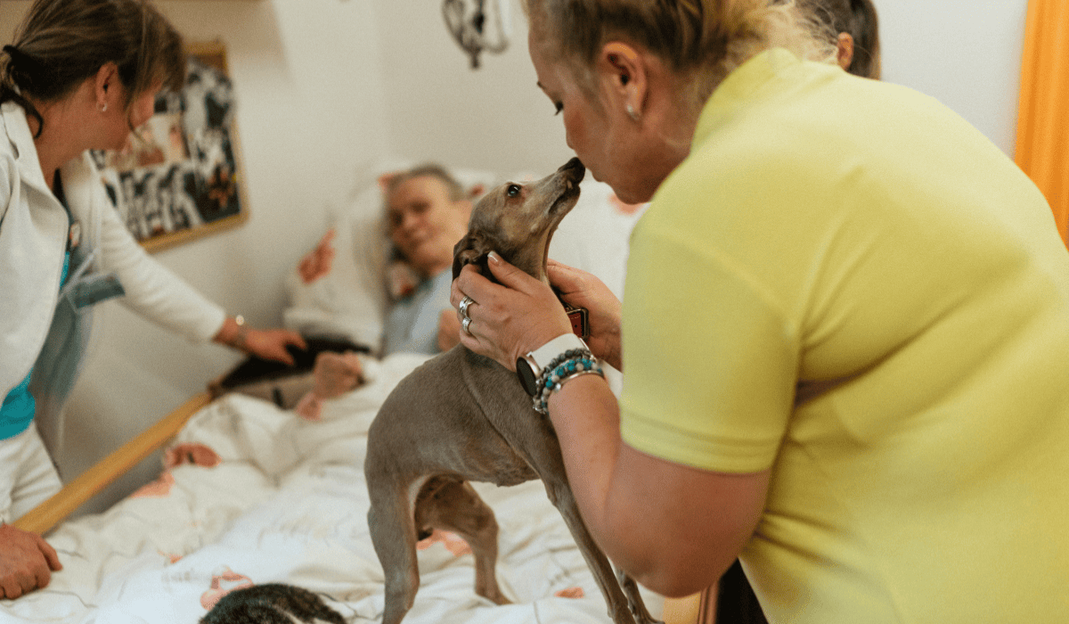 Zwierzęta są czasem ich jedynymi bliskimi istotami. Lekarz walczy o prawo pacjentów do kontaktu z pupilami