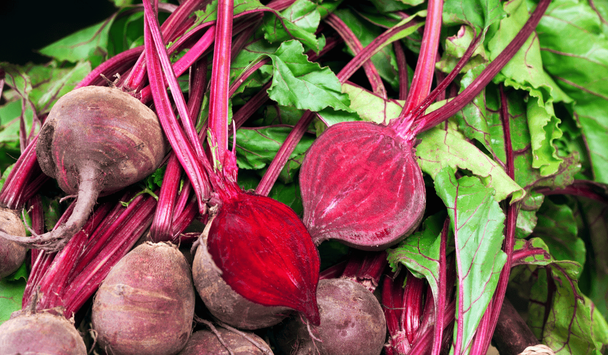 Zalej wodą z solą i odstaw na tydzień. Idealny specyfik na odporność