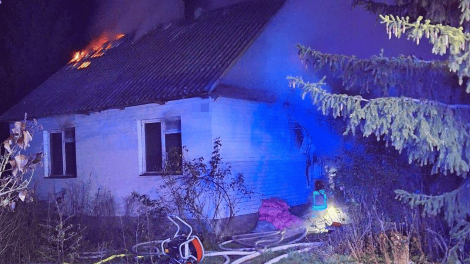 Pies czeka na właściciela, który zginął w pożarze