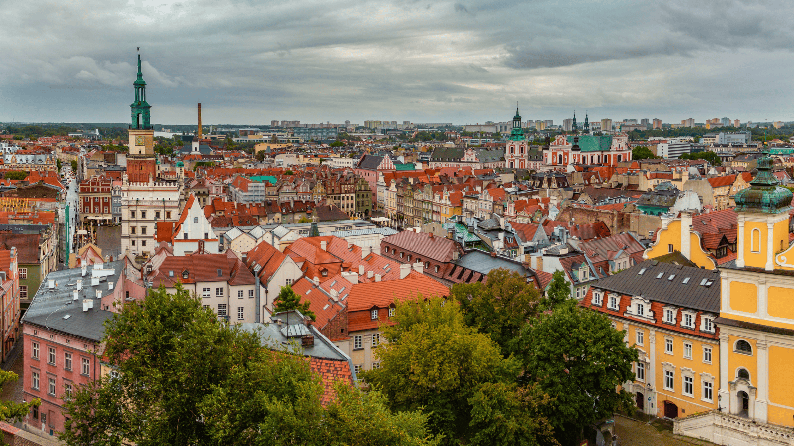 Nawrocki wziął udział w poznańskich obchodach Powstania Wielkopolskiego. Jego przemówienie obiegło sieć