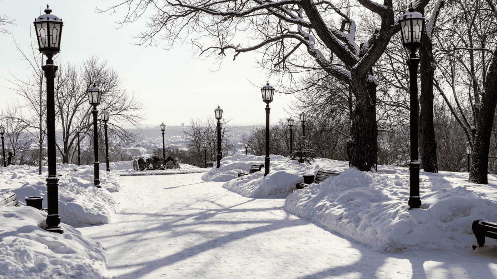 Elżbieta Włodarska