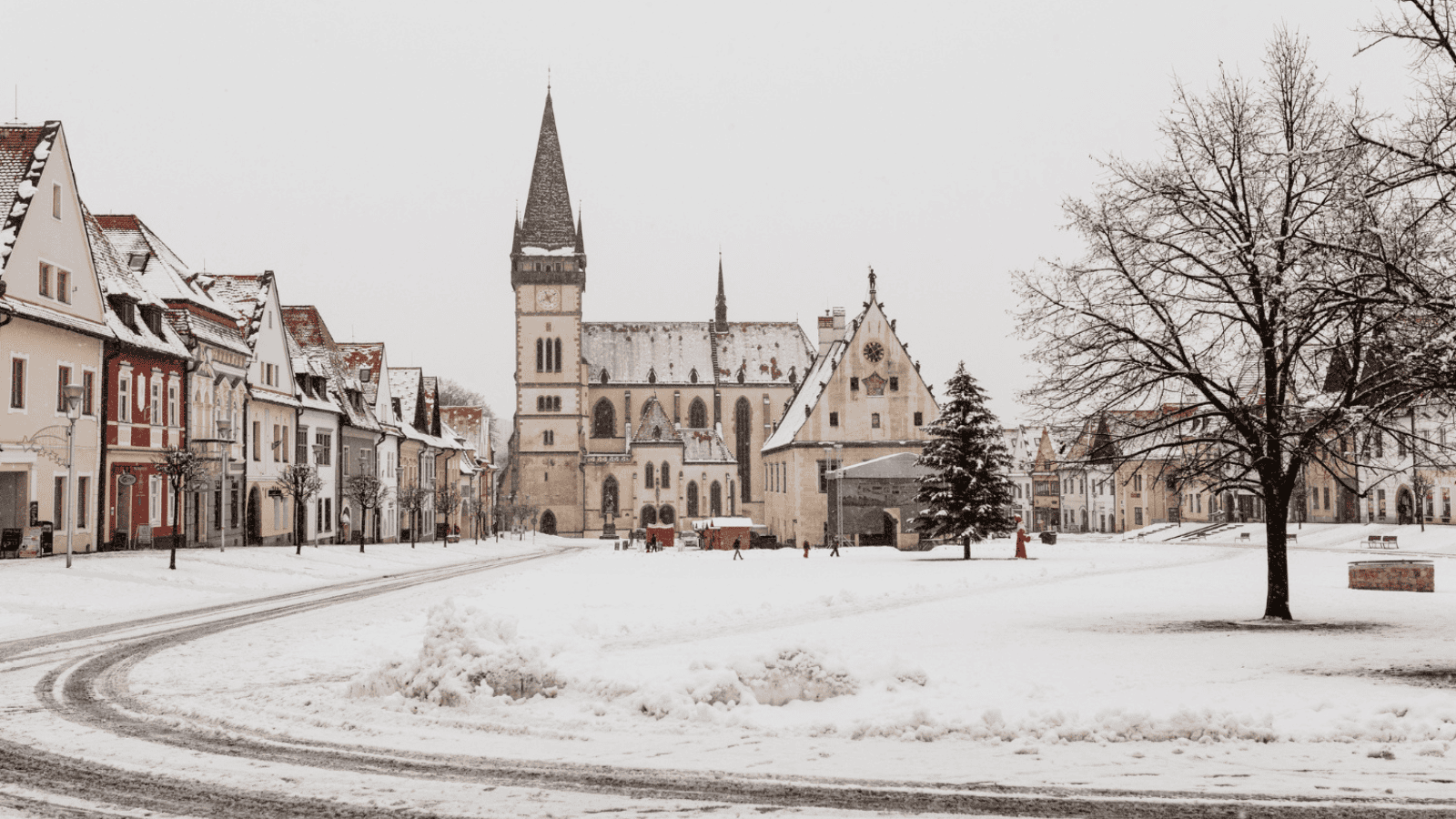 Elżbieta Włodarska