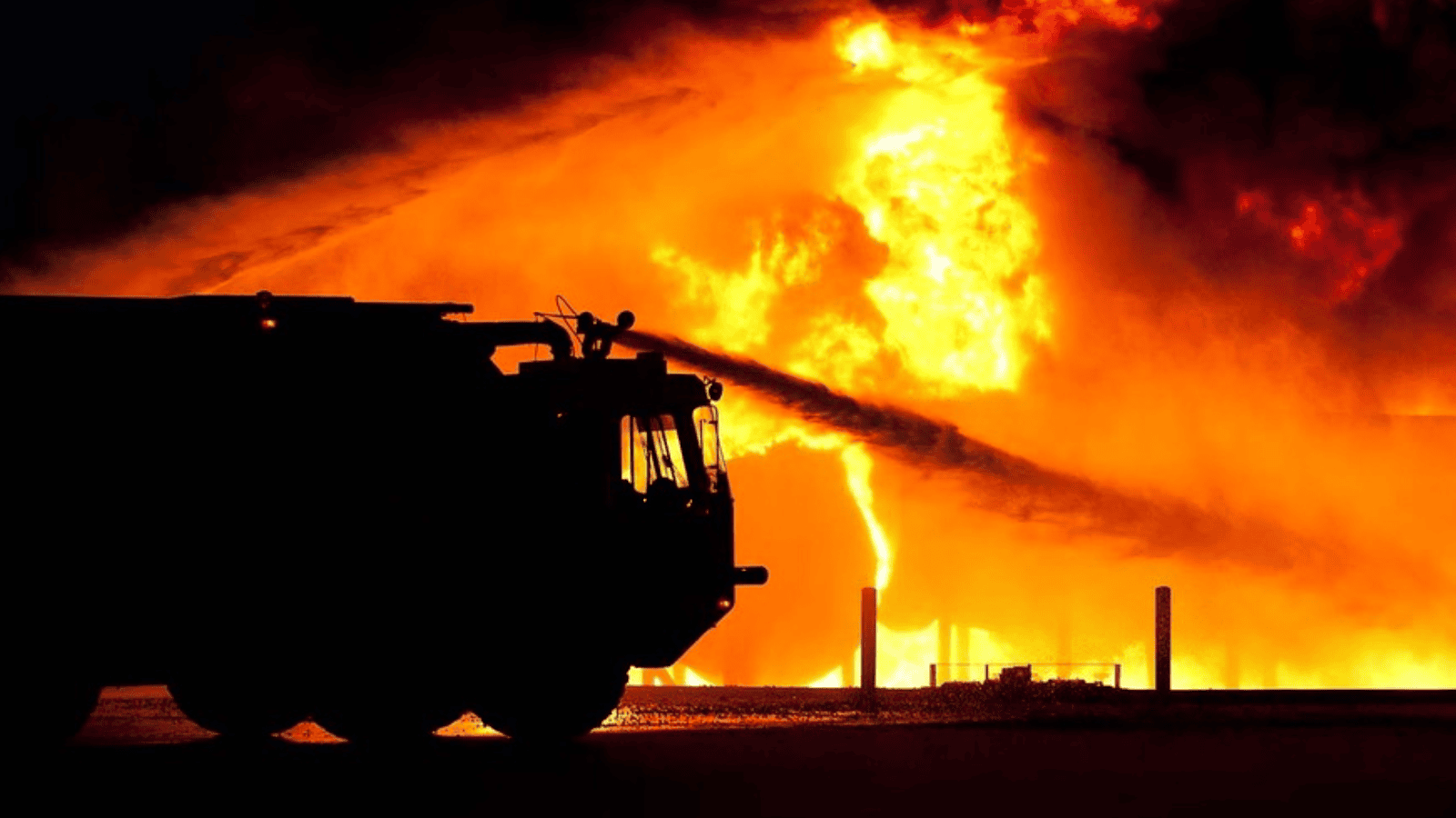 Elżbieta Włodarska