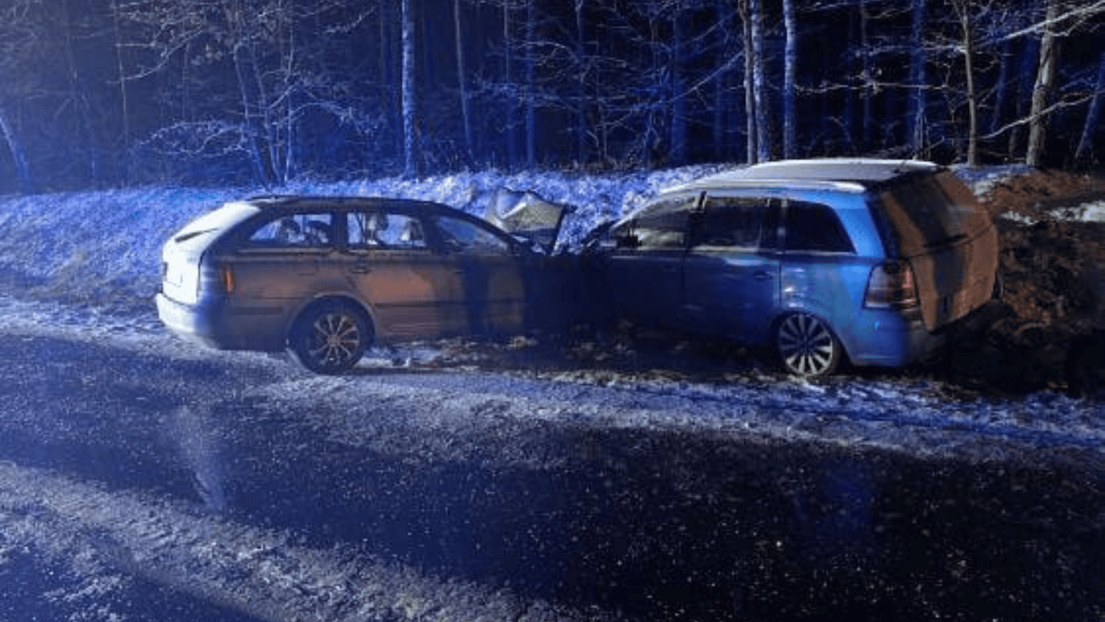 Elżbieta Włodarska