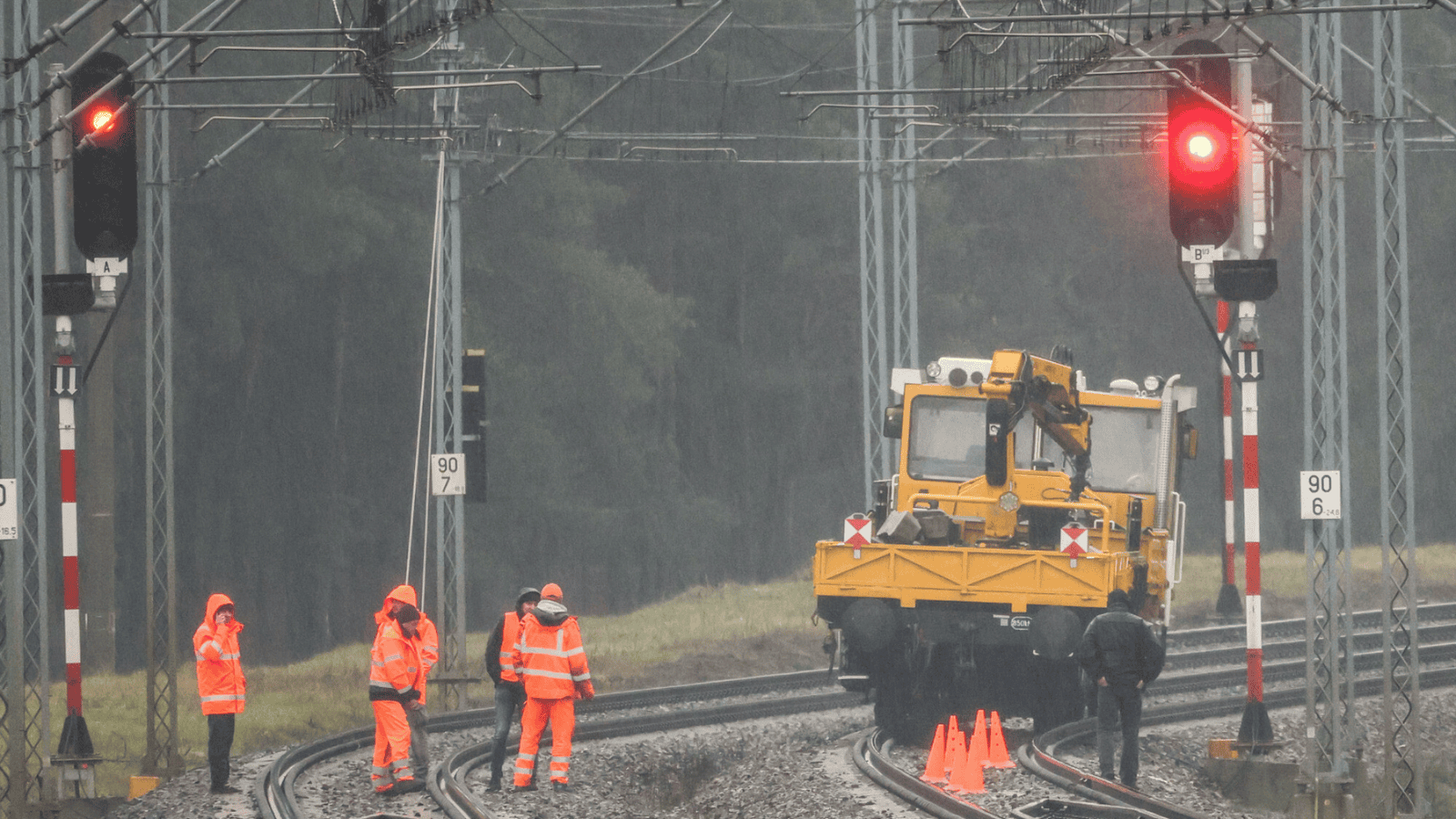 Elżbieta Włodarska