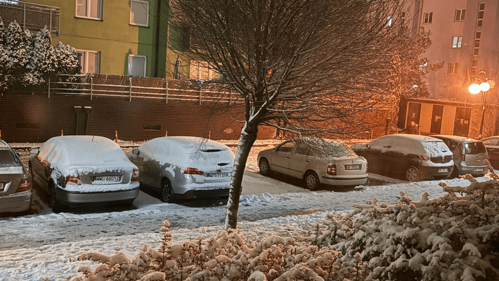 Elżbieta Włodarska