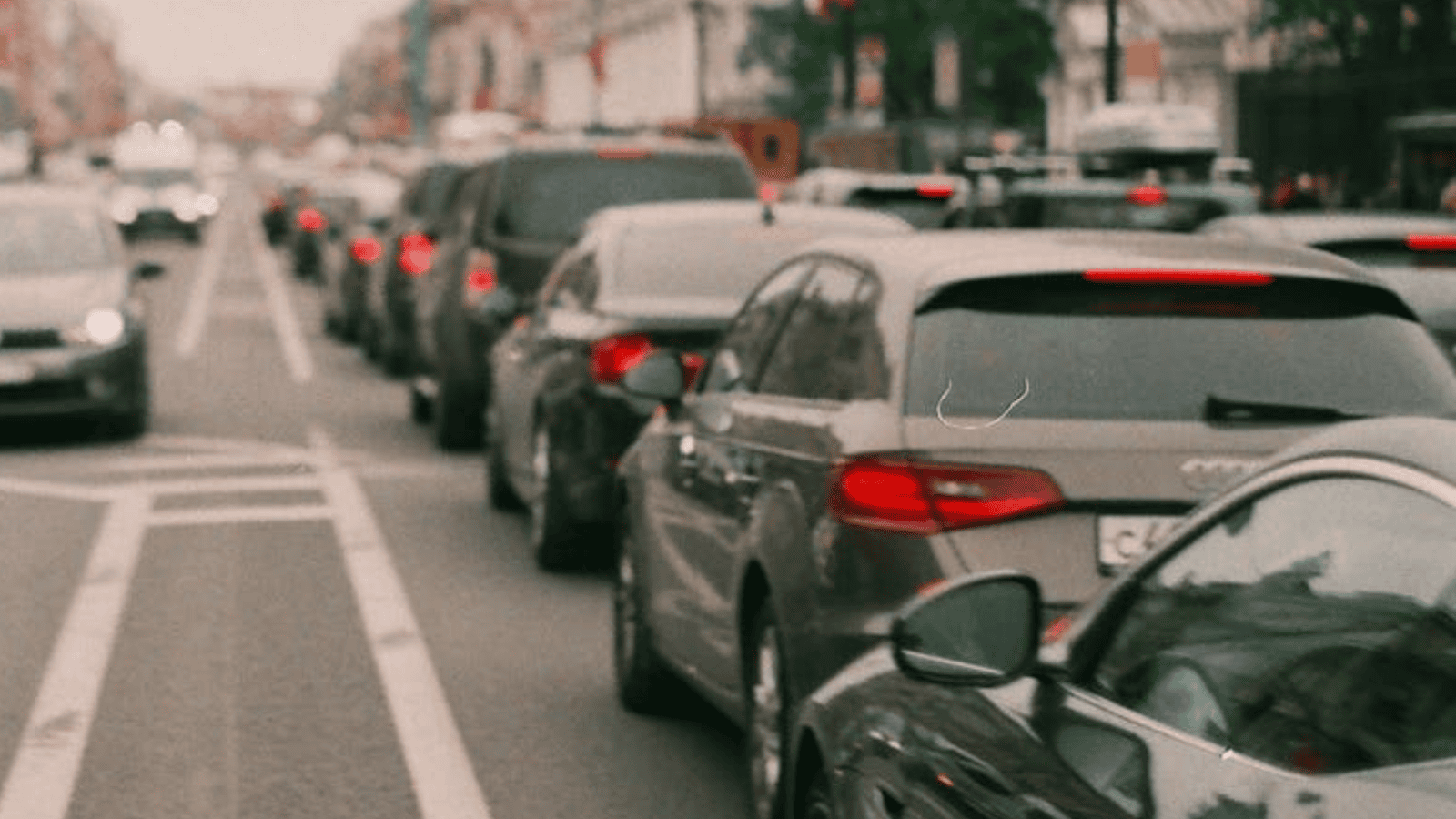 Elżbieta Włodarska