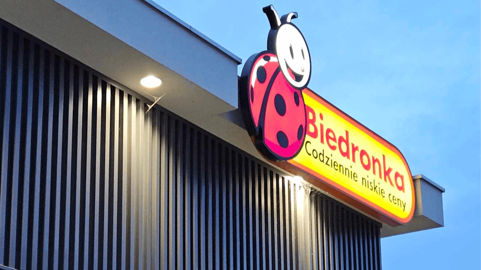 Elżbieta Włodarska