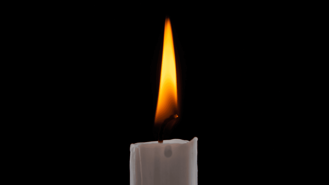 Elżbieta Włodarska