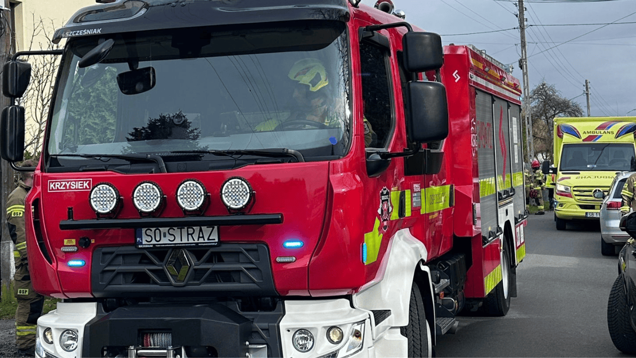 Elżbieta Włodarska