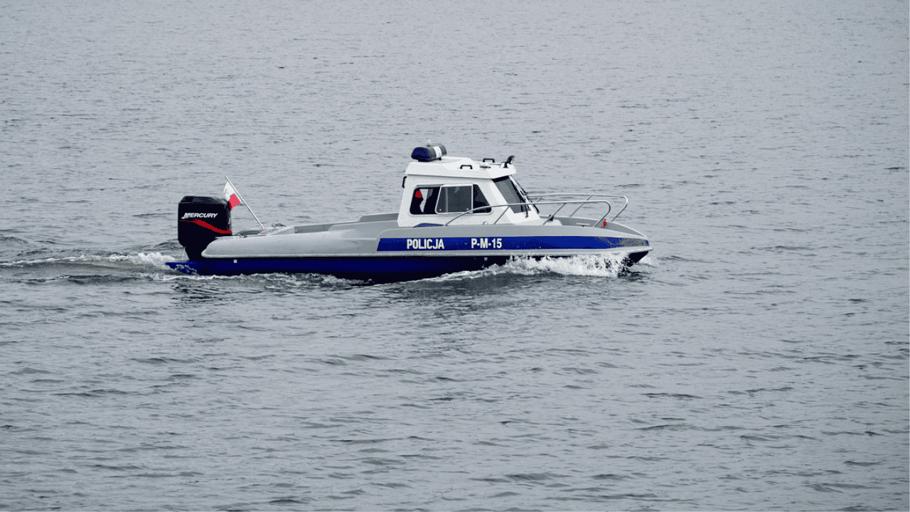 Elżbieta Włodarska