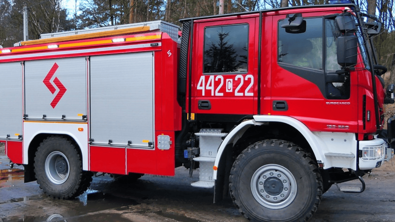 Elżbieta Włodarska