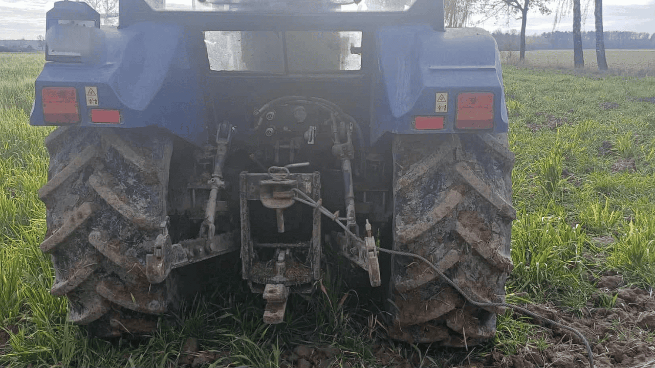 Elżbieta Włodarska