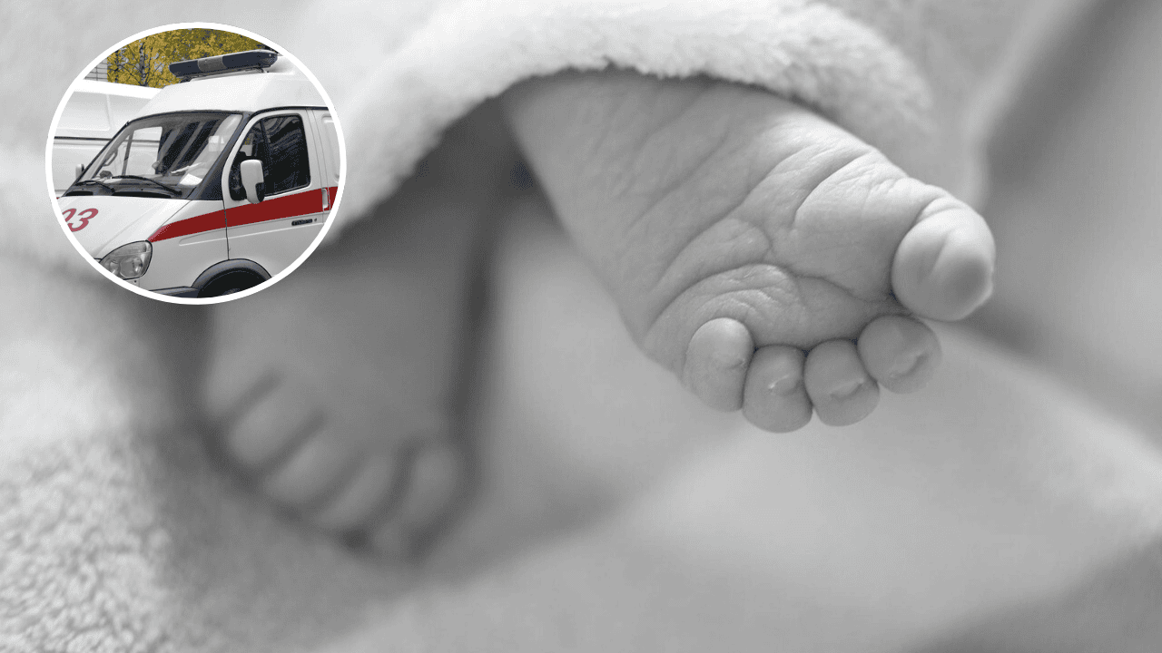 Elżbieta Włodarska