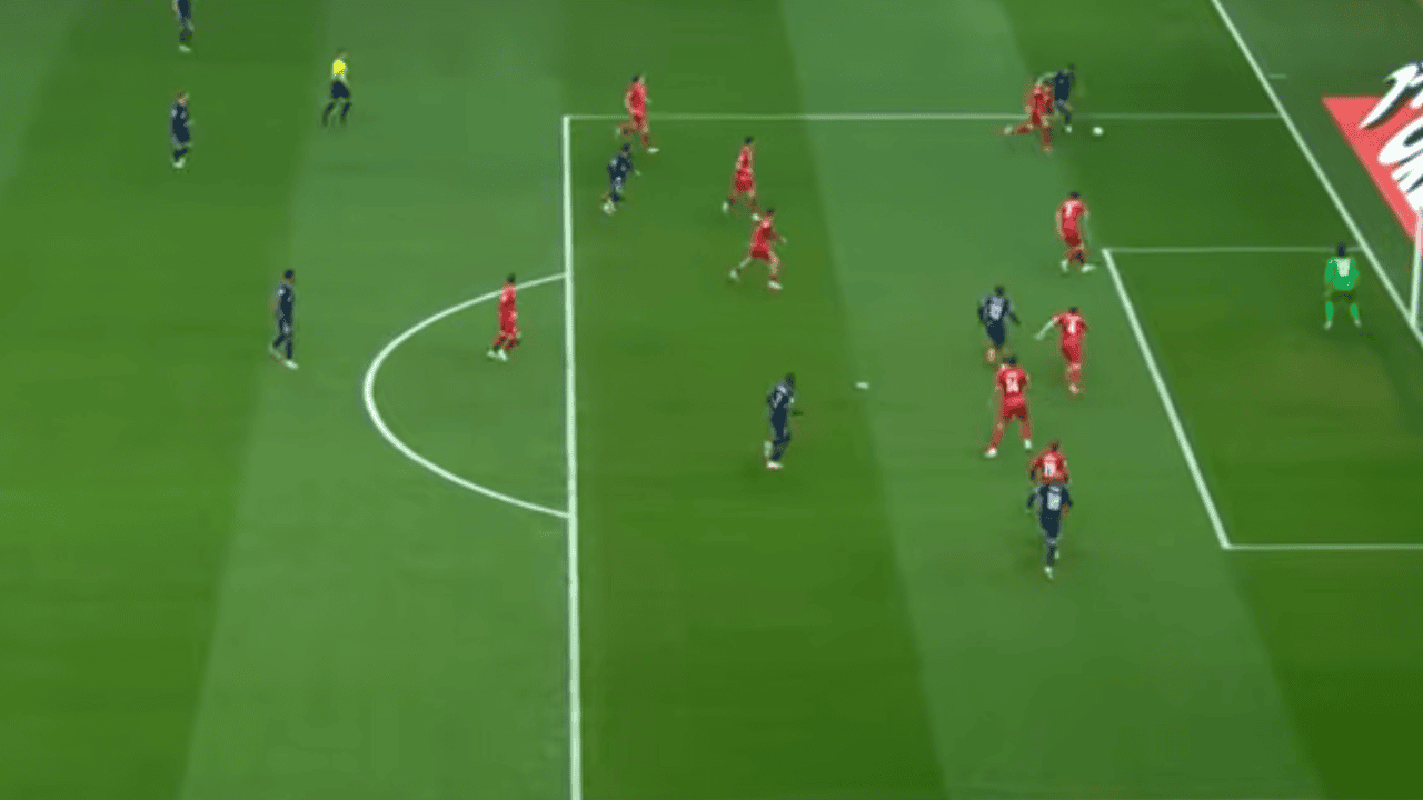 Elżbieta Włodarska