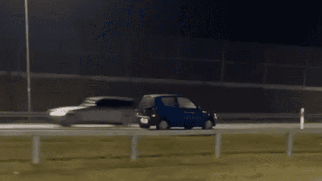 Elżbieta Włodarska