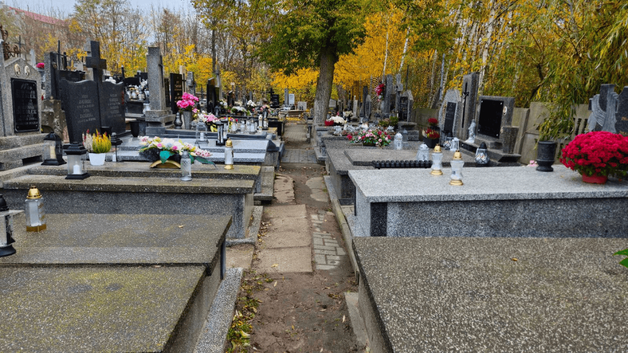 Elżbieta Włodarska