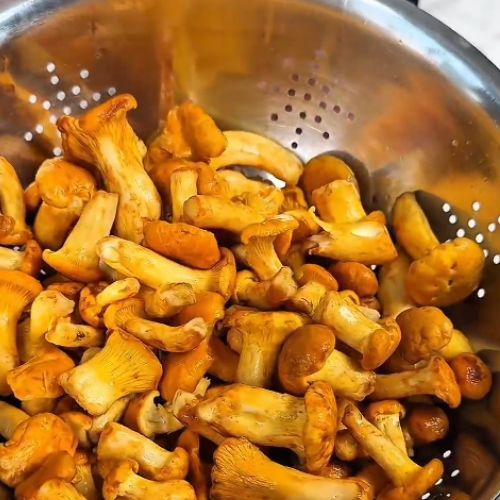 Jak oczyścić kurki? Sięgnij po produkt z kuchennej szafki