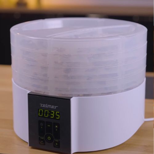 To najlepszy patent na suszenie grzybów. Z suszarką Zelmer to prostsze niż kiedykolwiek